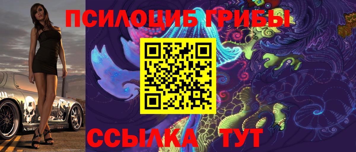 Псилоцибиновые грибы Psilocybine cubensis Нефтекумск