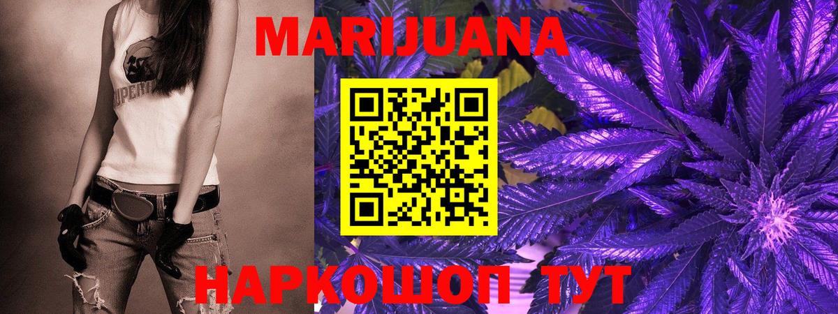 Бошки Шишки план  Конопля планчик  Каннабис семена  Нефтекумск  Вход с VPN 